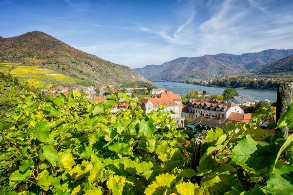 Stich (Niederösterreich)